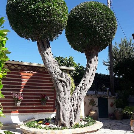 Flowers Studios Benitses (Corfu) Exterior foto