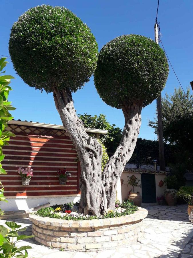 Flowers Studios Benitses (Corfu) Exterior foto