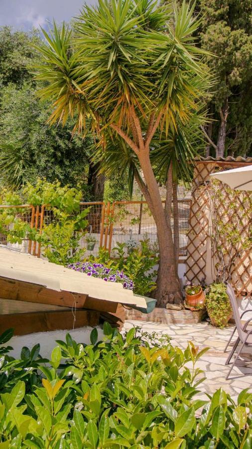 Flowers Studios Benitses (Corfu) Exterior foto