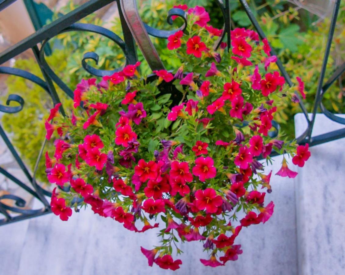 Flowers Studios Benitses (Corfu) Exterior foto